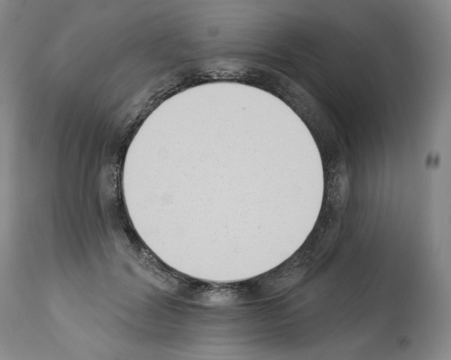 X0000112840604200910021110