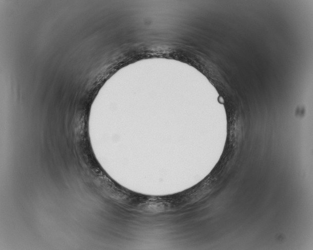 X0000112840608200910021109