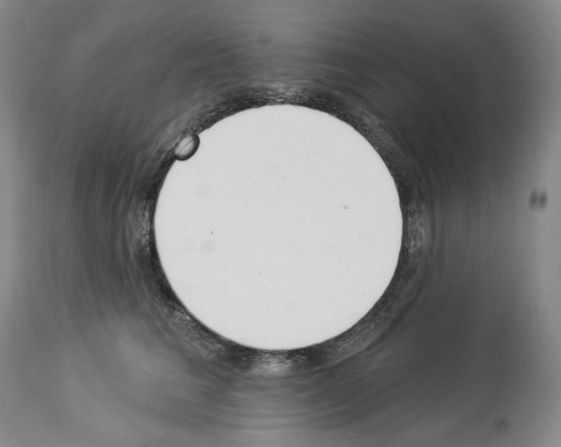 X0000112840613200910021109