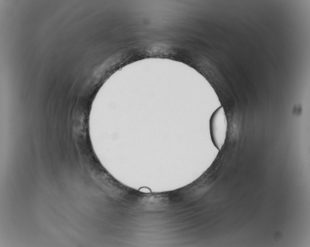 X0000112840619200910021109