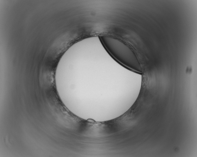 X0000112840621200910021109