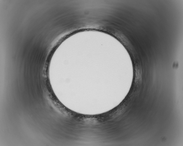 X0000112840628200910021108