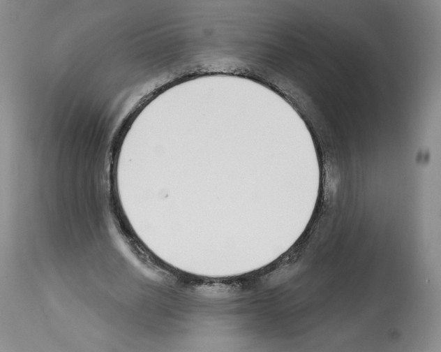 X0000112840630200910021108