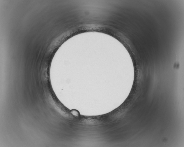 X0000112840633200910021109