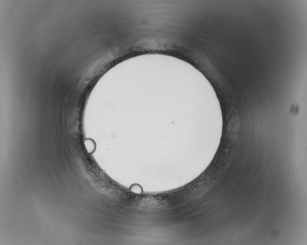 X0000112840635200910021109