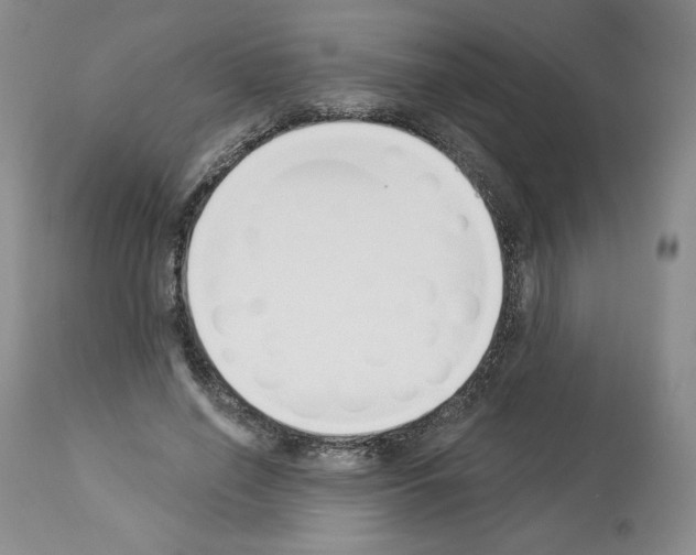 X0000112840638200910021109