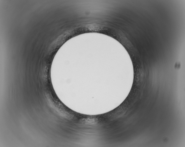 X0000112840639200910021109