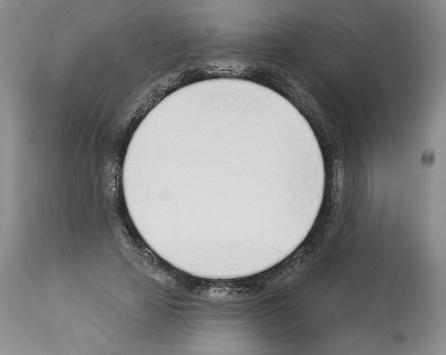 X0000112840641200910021109