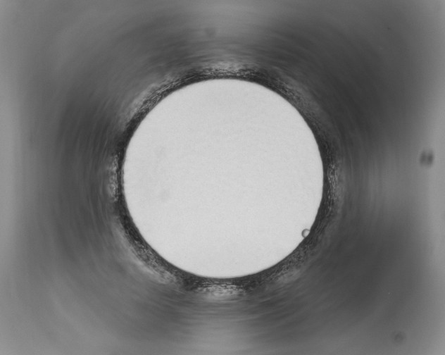 X0000112840642200910021109