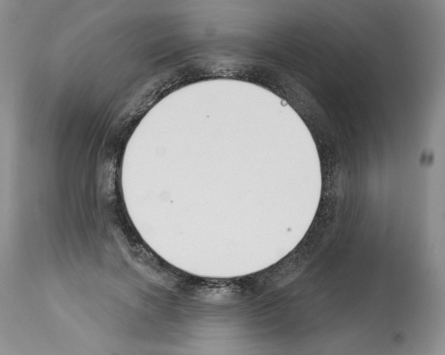 X0000112840646200910021109