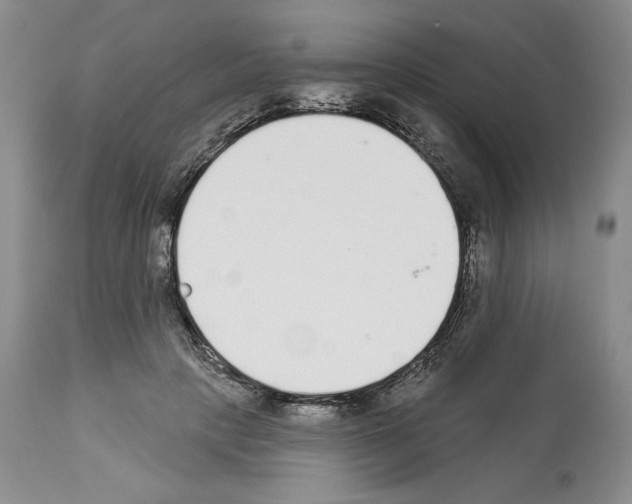 X0000112840649200910021109