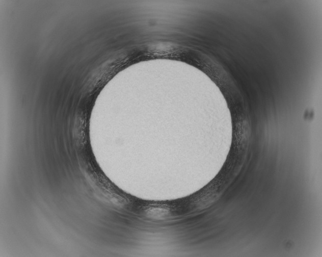 X0000112840653200910021109