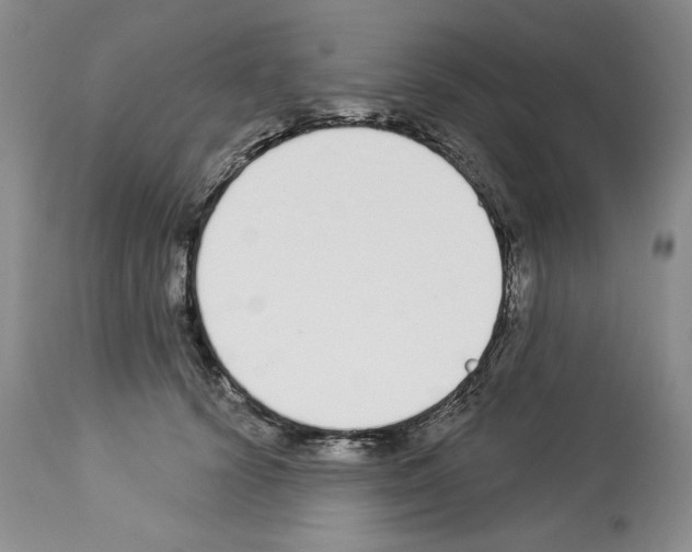 X0000112840656200910021109