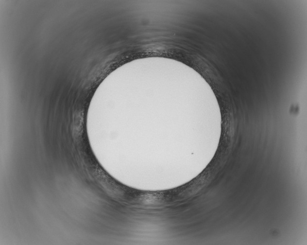 X0000112840660200910021109