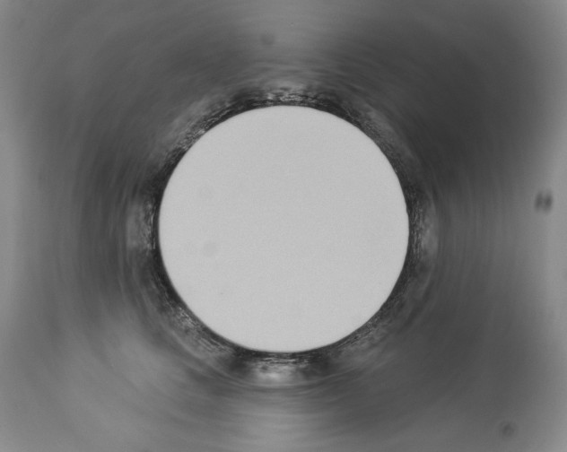 X0000112840661200910021109