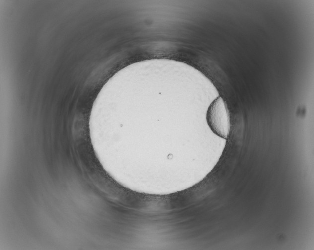 X0000112840667200910021109