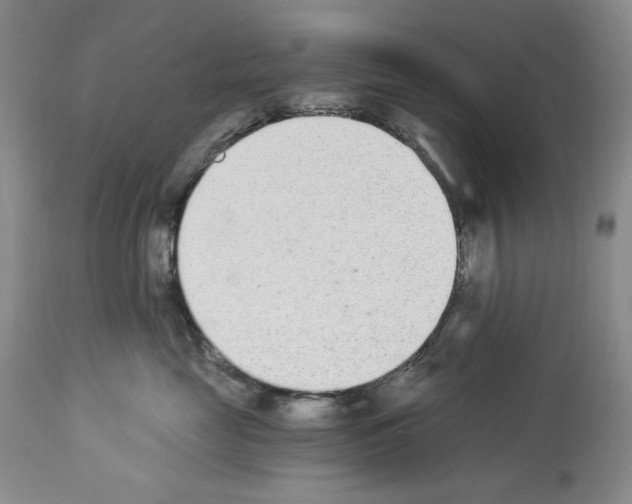 X0000112840669200910021109