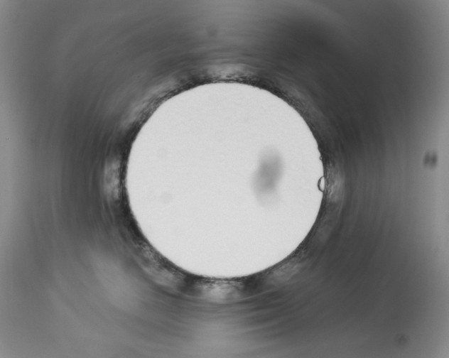 X0000112840670200910021109