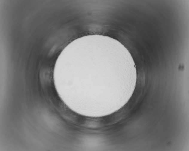 X0000112840671200910021109