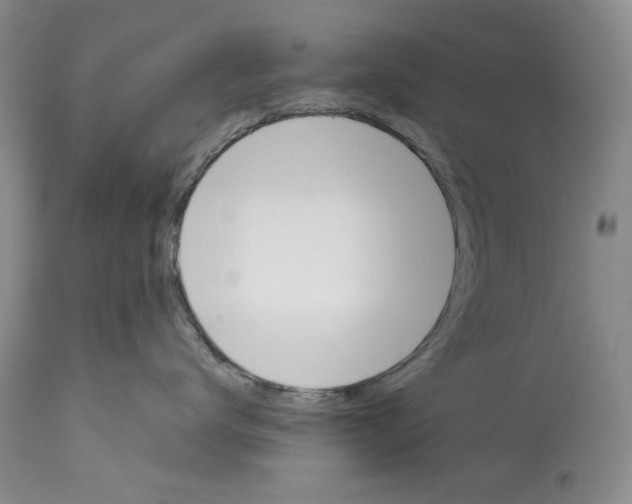 X0000112840672200910021109