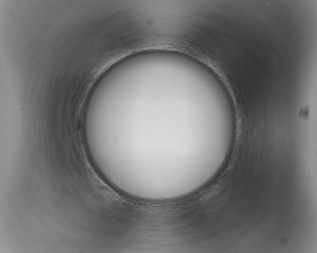 X0000112840673200910021108