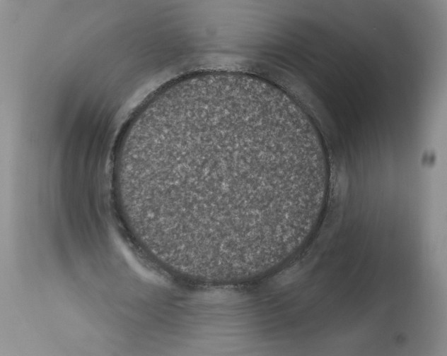 X0000112840674200910021108