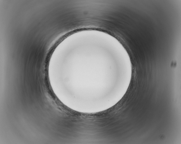 X0000112840676200910021108