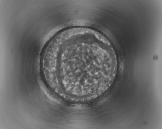 X0000112840678200910021108