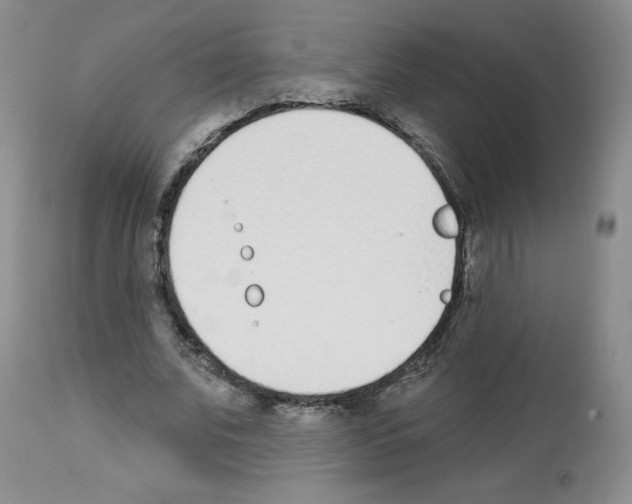 X0000112840679200910021108