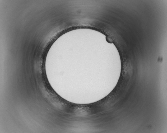 X0000112840680200910021108