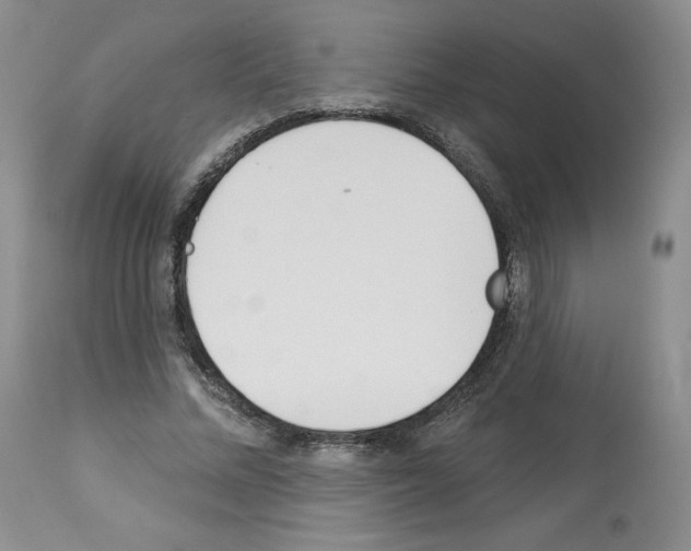 X0000112840684200910021108