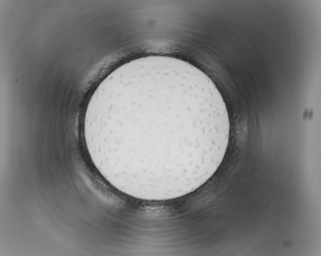 X0000112840686200910021108