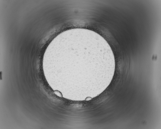 X0000112840687200910021108