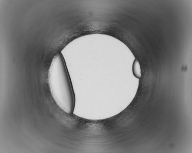 X0000112840689200910021108