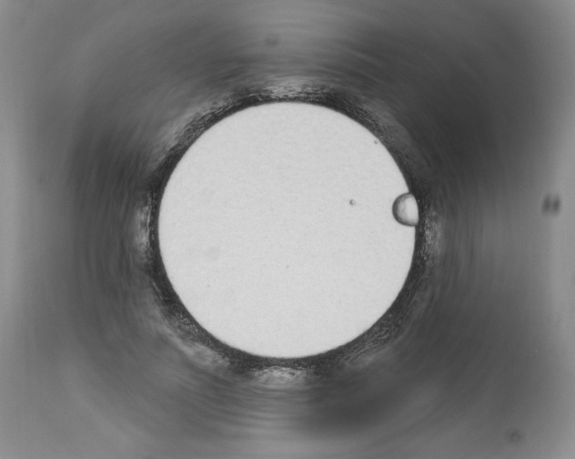 X0000112840691200910021108