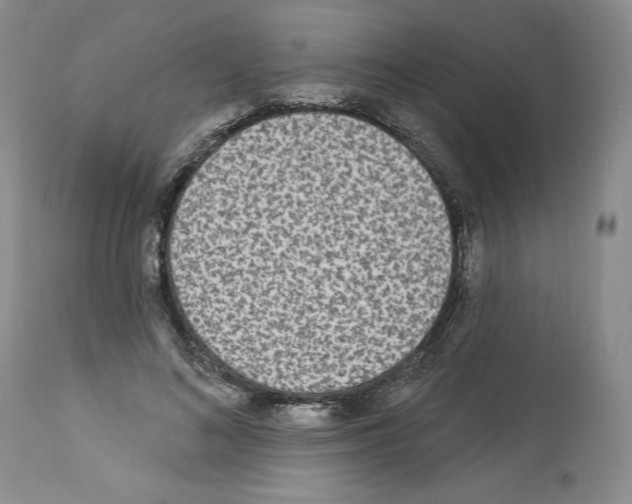 X0000112840692200910021108