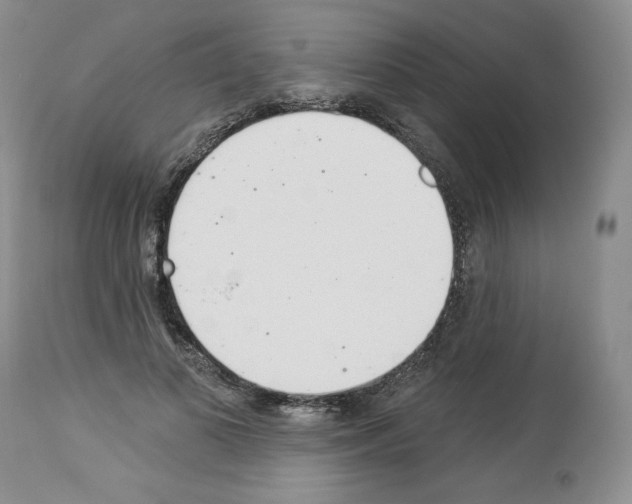 X0000112840693200910021108