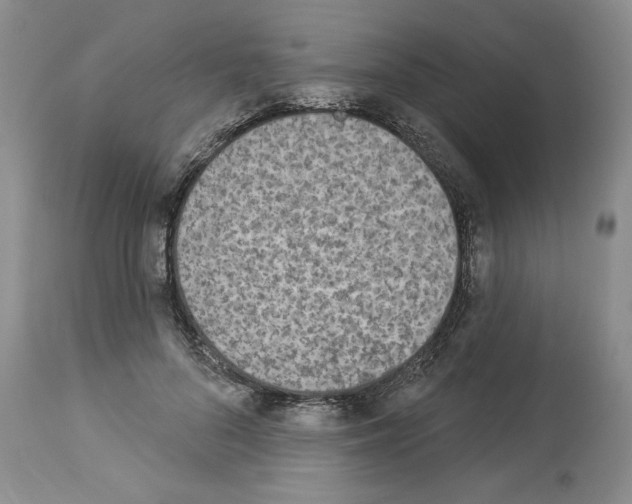 X0000112840696200910021108