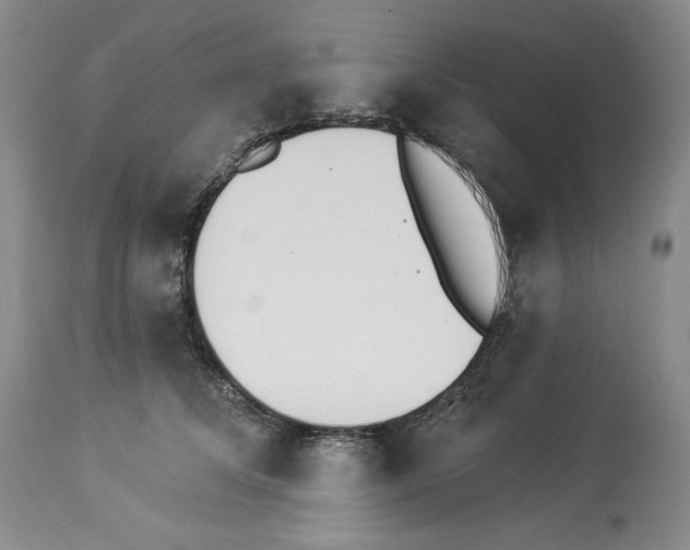 X0000112840708200910021108