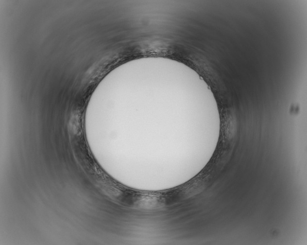 X0000112840709200910021108