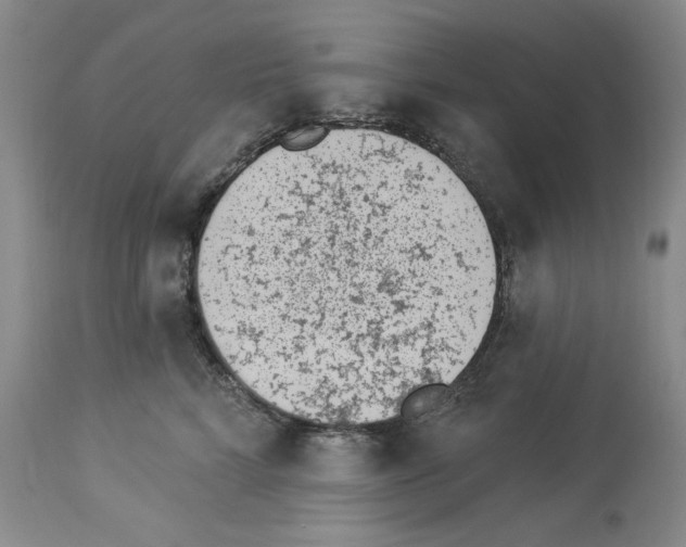 X0000112840712200910021108