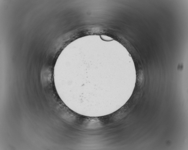 X0000112840715200910021108