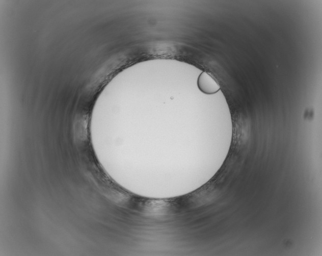 X0000112840717200910021108