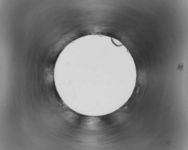 X0000112840719200910021108