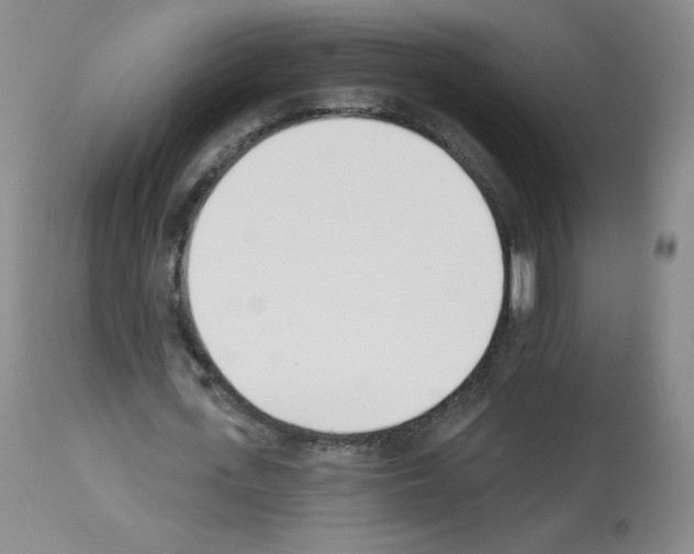 X0000112840723200910021107