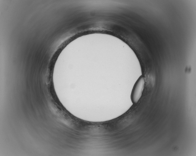 X0000112840724200910021107