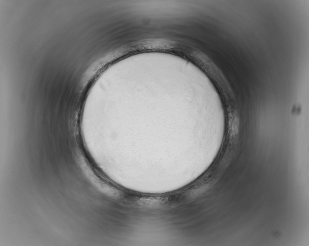 X0000112840725200910021107