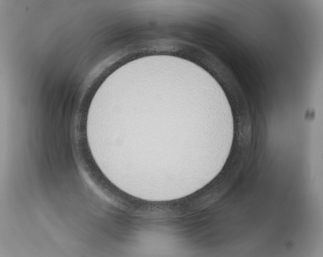 X0000112840726200910021107