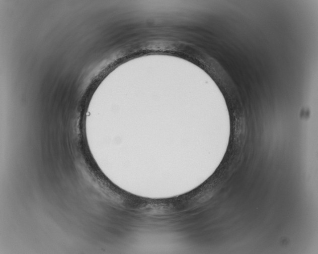 X0000112840727200910021107