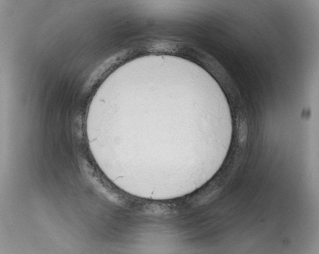 X0000112840729200910021107